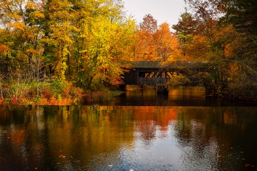 AUTUMN HOUSE HUNTING; A PERFECT SEASON FOR BUYERS & SELLERS!